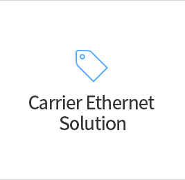 Carrier Ethernet 